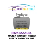 Module GromCalcTool 0123 Mazda INFINEON XC23XX Réinitialisation Crash CAN BUS
