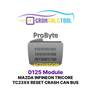 Module GromCalcTool 0125 Mazda INFINEON TRICORE TC23XX Réinitialisation Crash CAN BUS