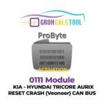 Module GromCalcTool 0111 Réinitialisation du crash du TRICORE AURIX Kia - Hyundai (Veoneer) CAN BUS
